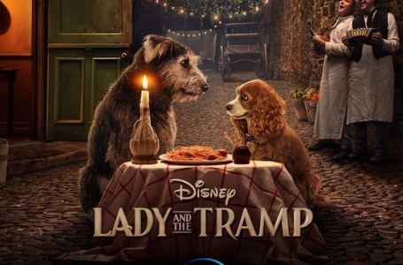 Disney encontró rescató al protagonista de “La dama y el vagabundo” de una perrera