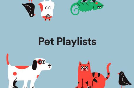 Spotify lanza listas de música dirigidas para nuestras mascotas